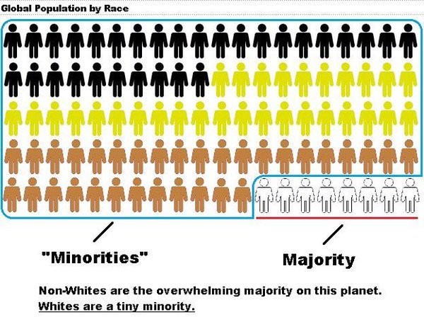 minorities population