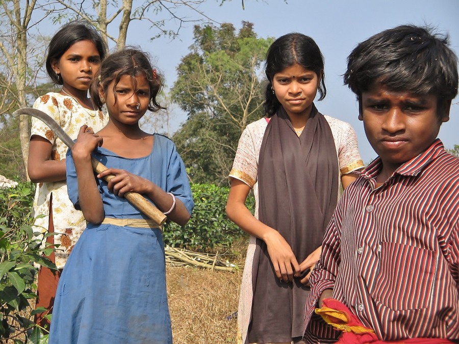 Children from the village of Srimangal, full of tea fields and lemon trees. Bangladesh.